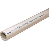 Charlotte Pipe 3/4 in x 10 ft Schedule 40 PVC Pipe (PVC 04007 0600)