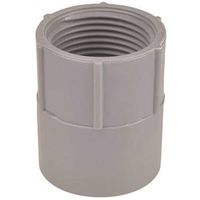 Carlon E942ER-CTN Conduit Adapter, 3/4 in FPT x Socket, PVC, Gray