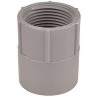 Carlon E942HR Conduit Adapter, 1-1/2" FPT x Socket, PVC, Gray