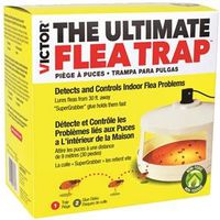 Terro T230 Flea Trap, Sweet Overnite Flea Trap