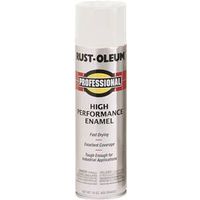 15 oz White Spray Paint (1.25 lbs)
