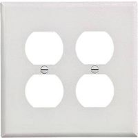 WHT2G 2 Duplex Wall Plate