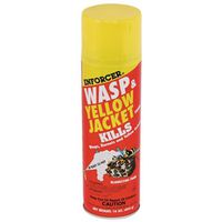 Foam Spray Wasp 16 oz
