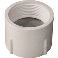IPEX 1-1/2" PVC Pipe Adapter, FNPT x Hub, White, Schedule 40 (192891)