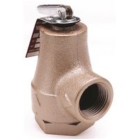 3/4" Boiler Relief Valve