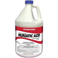 Sunbelt Chemicals MA1 Muriatic Acid, Liquid, Clear, 1 Gal, Bottle