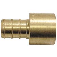 Apollo Pipe Adapter, 1/2" PEX x Female Solder, Brass, 200 PSI Pressure (APXFS1212)