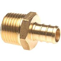 Apollo Pipe Adapter, 1/2" x 3/4", PEX x MPT, Brass, 200 PSI Pressure (APXMA3412)