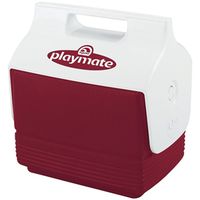 Cooler for Mini 6-12 oz Cans, 4-Can Capacity