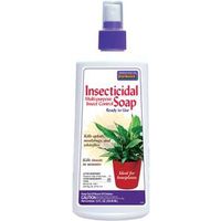 Bonide 112 Insecticidal Soap Liquid Spray Application 8 to 12 oz Houseplant
