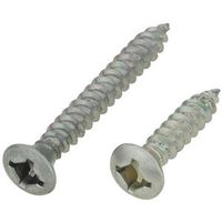 Zinc BKT Screw