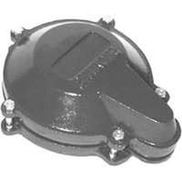 Simmons Cast Iron Well Cap (758)