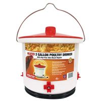 Farm Innovators HB-60P Heated Poultry Drinker, 2 Gal