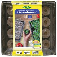 Greenhouse Tomato & Vegetable Seed Starting