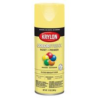 Paint Spray Gloss Bright Idea