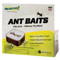 Bait Ant 6 Pack