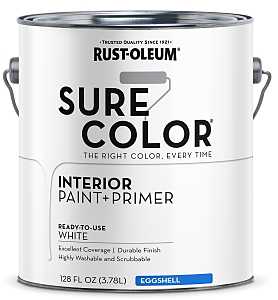 Premium Eggshell White Paint