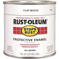 Paint Rust-Resistant Flat White 1 Quart