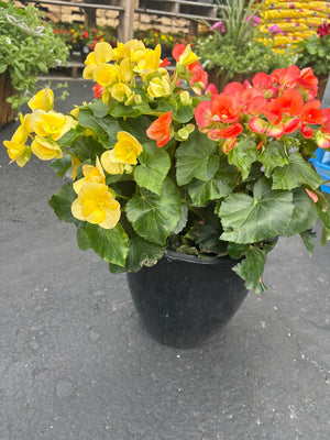 10" Planter