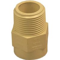 Nibco 3/4" CPVC Pipe Adapter, Slip x MIP, Schedule 40