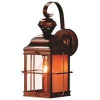 LTRN Mountain Decorative 100W Antenna Light Fixture