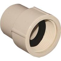 Nibco 3/4" CPVC Pipe Adapter, Slip x FIP (T00390D)