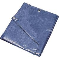 10' x 12' Medium Duty Blue Tarp