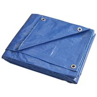 20' x 30' Medium Duty Blue Tarp