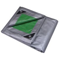 10' x 20' Heavy Duty Green/Silver Tarp