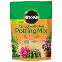 Mix Potting Cactus Palm 8 Quart