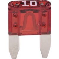 5-Pack ATM 10 Amp Fuse