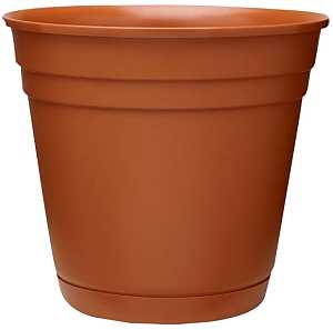 Terracotta Planter with Saucer