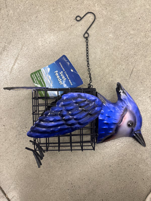 Blue Jay Suet Feeder