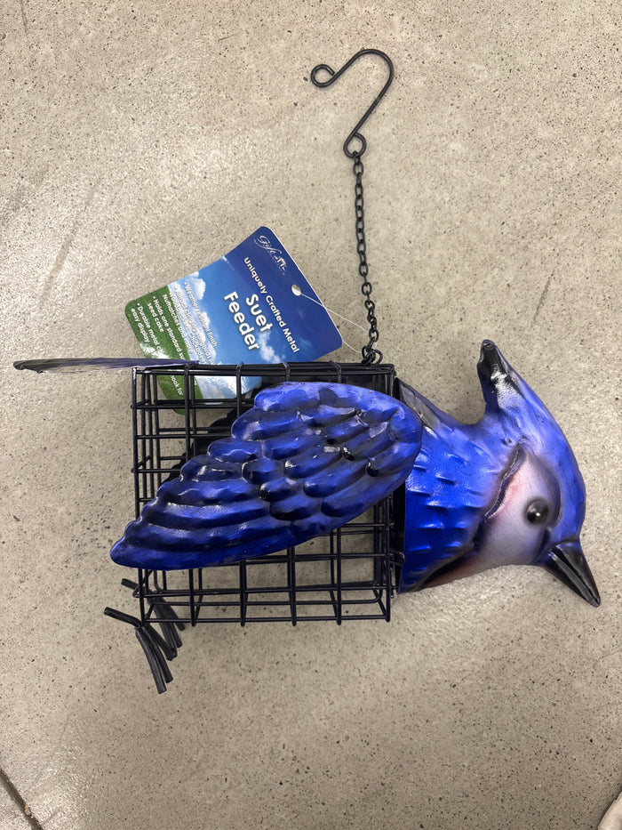 Blue Jay Suet Feeder