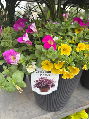 12" Planter Pot
