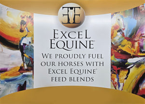  Introducing Excel Equine 