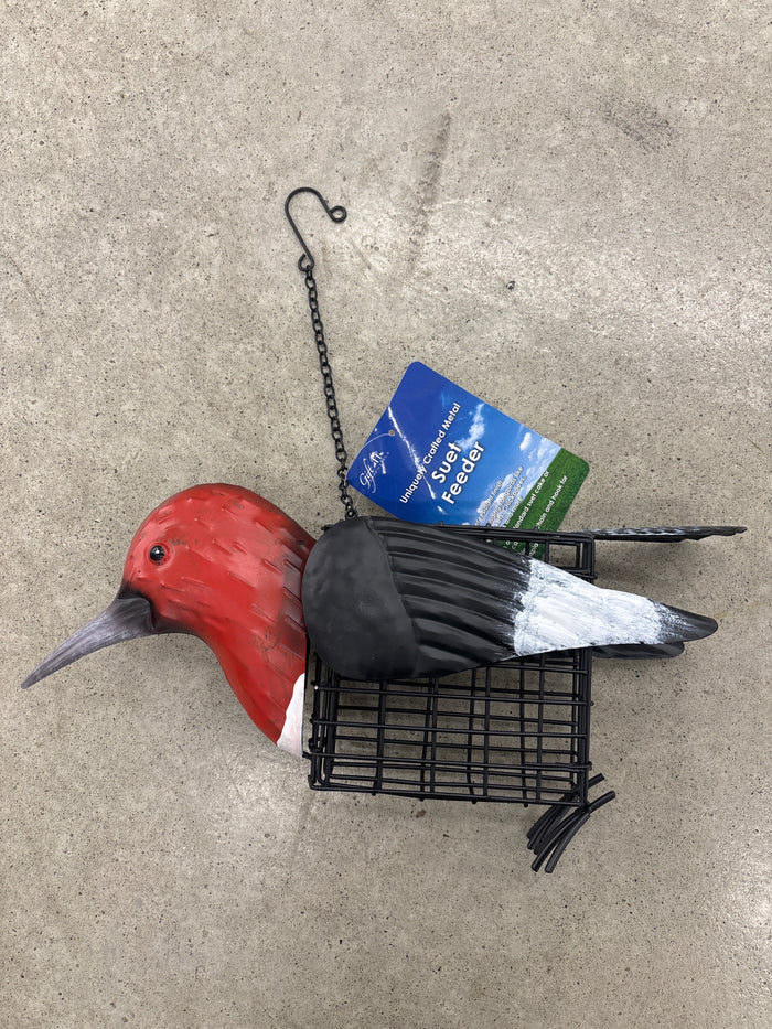 Red Head Woodpecker Feeder