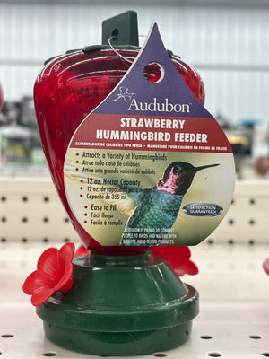 12 oz Strawberry Hummingbird Feed