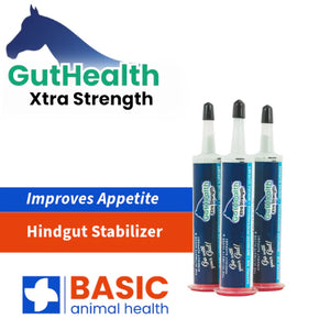 GutHealth Horse 3-Pack