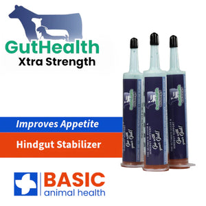 Gut Health Tube 3 Pack