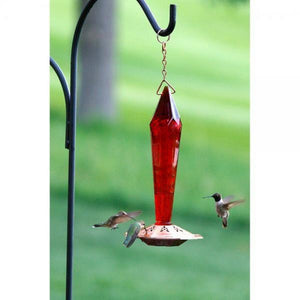 Faceted Glass Ruby Hummingbird Feeder
