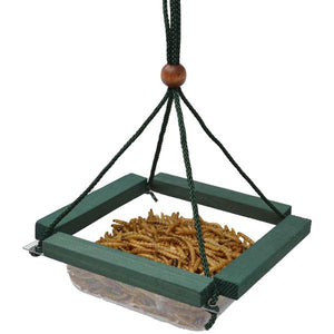Hanging Mealworm Dish