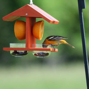 Oriole Fruit & Jelly Feeder