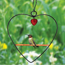 Birdie Swing Feeder - Black