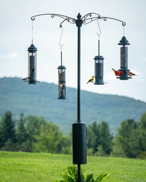 Raccoon Buster Pole System (35 lbs)