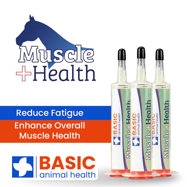 MuscleHealth Horse 3-Pack