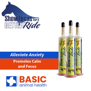 BetterRide Horse 3-Pack