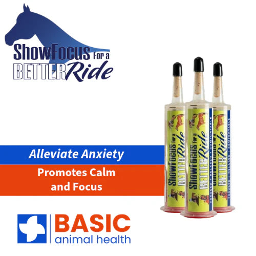 BetterRide Horse 3-Pack