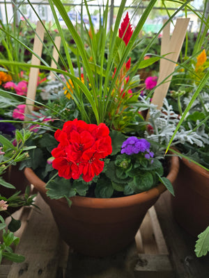 10" Large Combination Pot