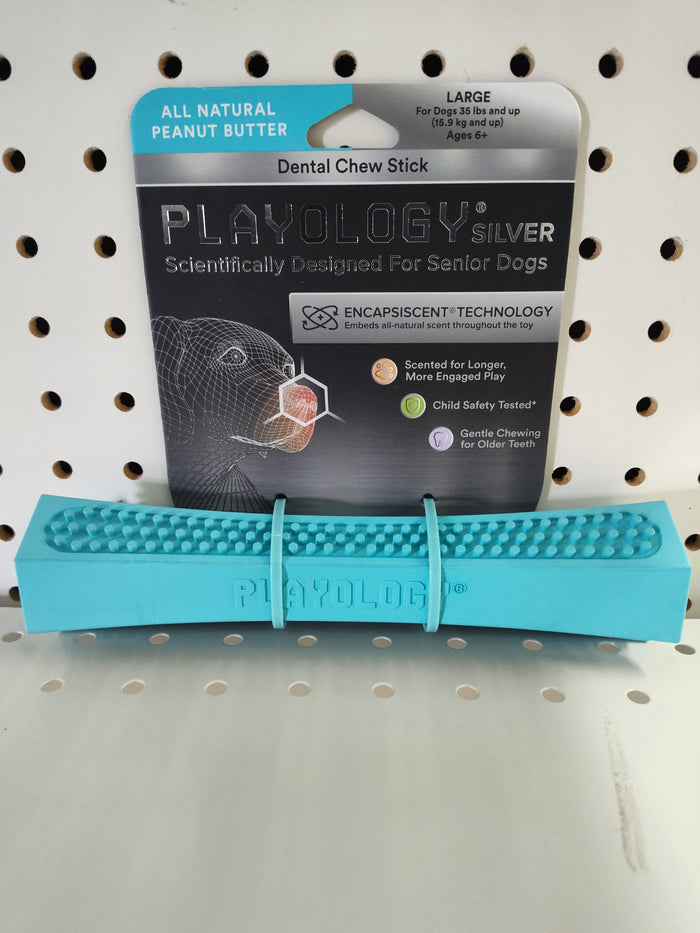 Playology Dntl Chw Lg PB